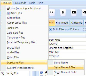 Duplicate Files List